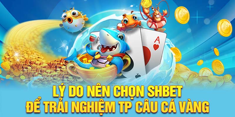 Lý do nên chọn SHBET để trải nghiệm TP câu cá vàng