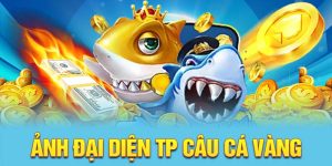 TP Câu Cá Vàng - Chiến Lược Để Trở Thành Cao Thủ Tại SHBET