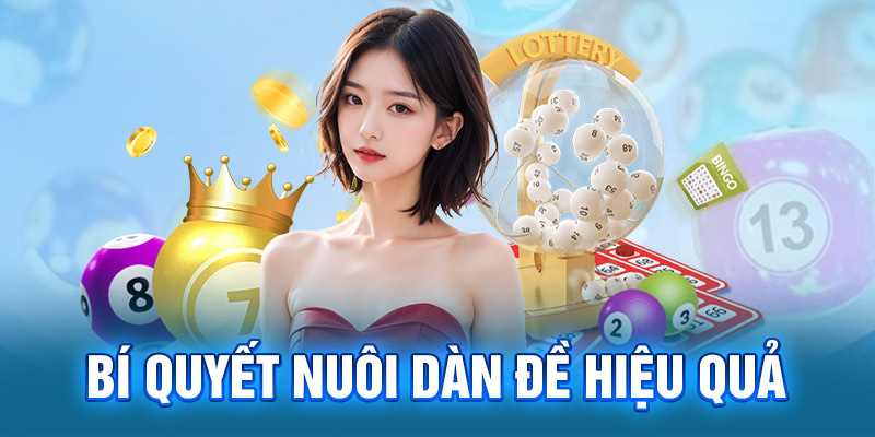 Bí quyết nuôi dàn đề hiệu quả 