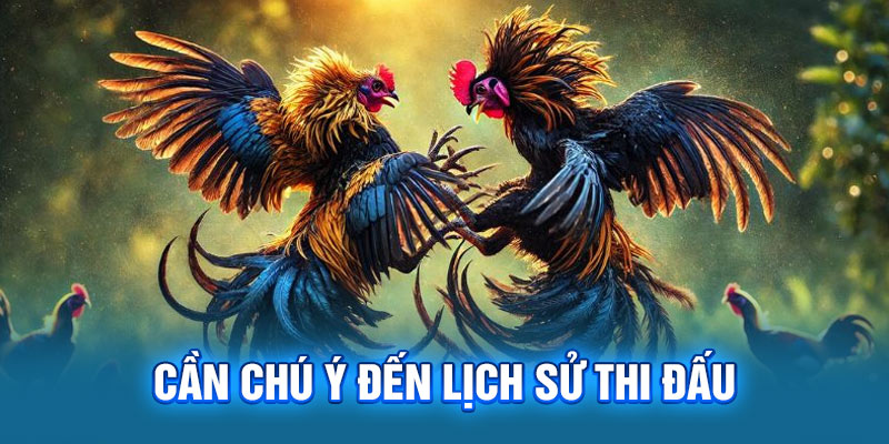 Nắm vững mẹo chơi giúp đặt cược hiệu quả