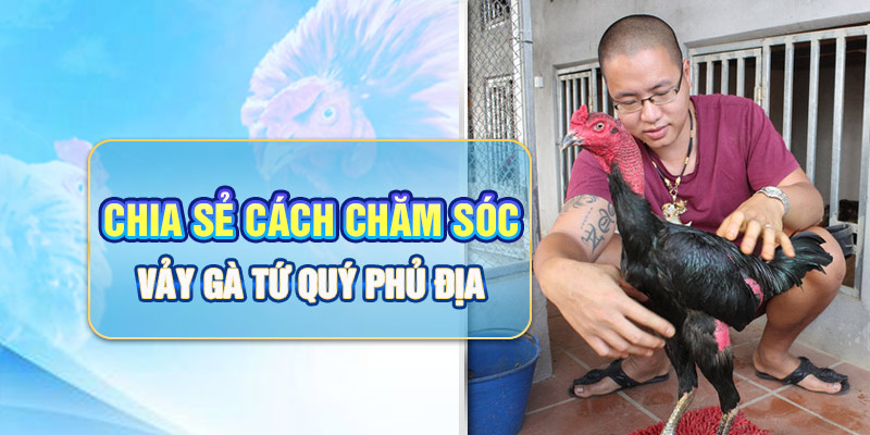 Chia sẻ cách chăm sóc vảy gà tứ quý phủ địa