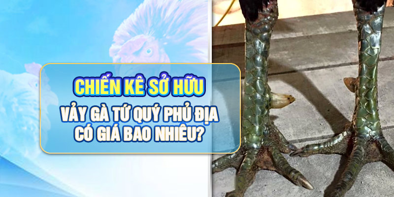 Chiến kê sở hữu vảy gà tứ quý phủ địa có giá bao nhiêu?