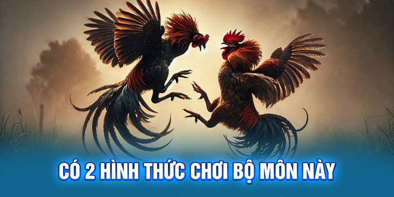 Có 2 hình thức chơi bộ môn này