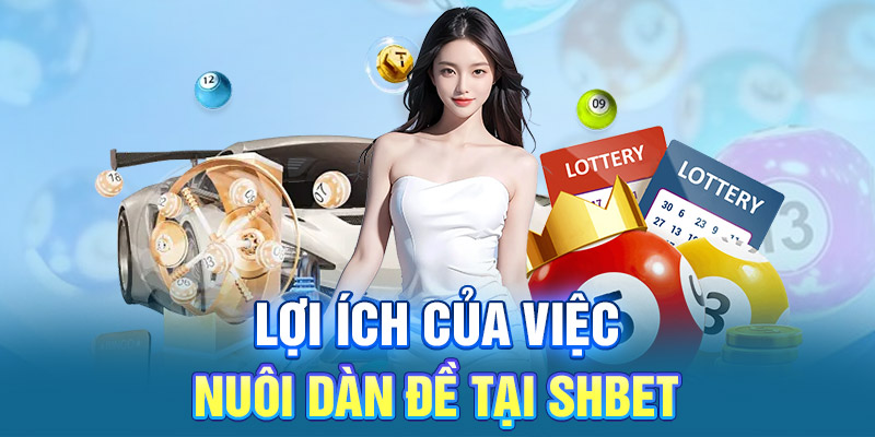 Lợi ích của việc nuôi dàn đề tại SHBET