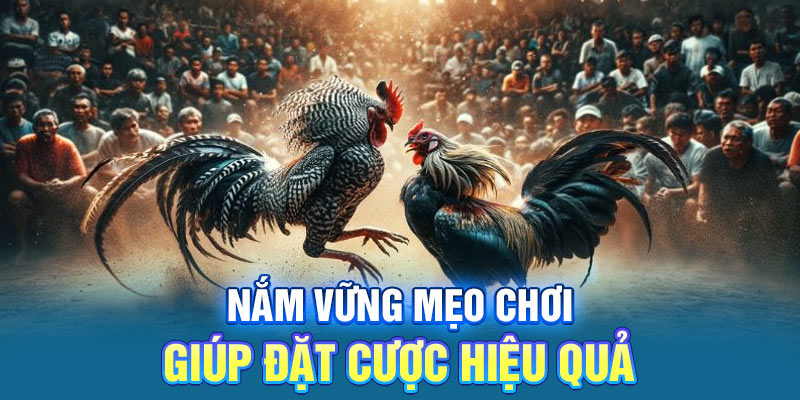 Nắm vững mẹo chơi giúp đặt cược hiệu quả