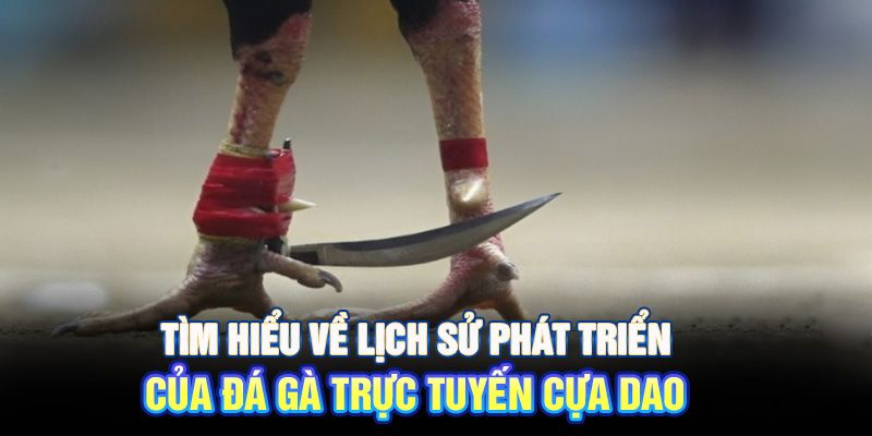 Tìm hiểu về lịch sử phát triển của đá gà trực tuyến cựa dao